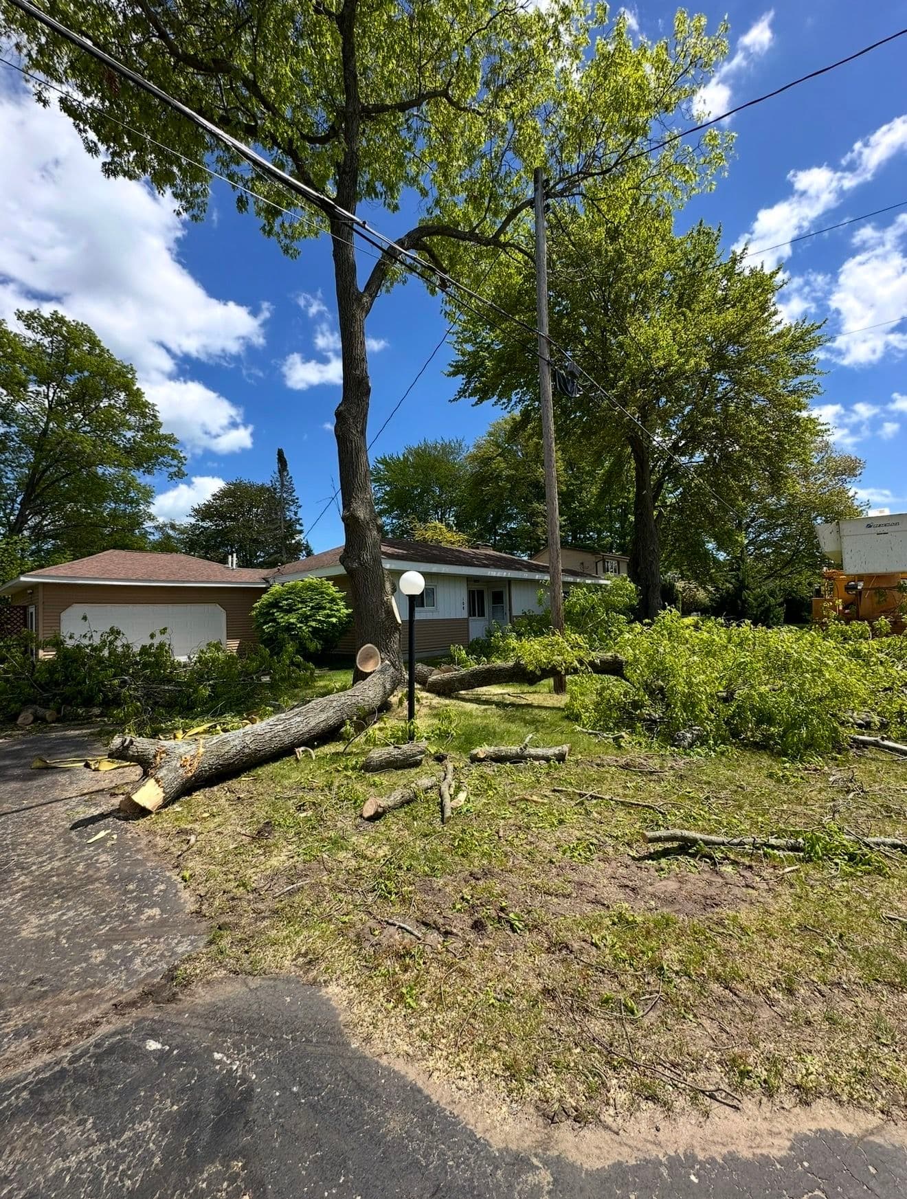 Gallery photos for Storm Cleanup and Tree Removal Services: Image #1