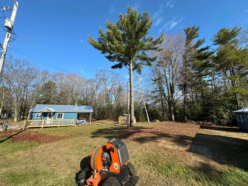 Tree service equipment in a yard with a large tree and a blue house in a forested area.