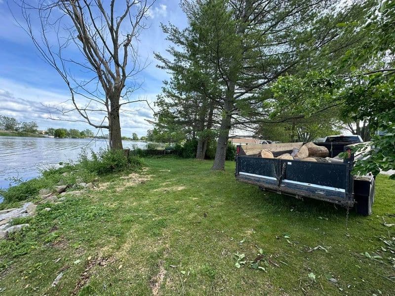 Scenic riverside view with truck and wood in a grassy area surrounded by trees.