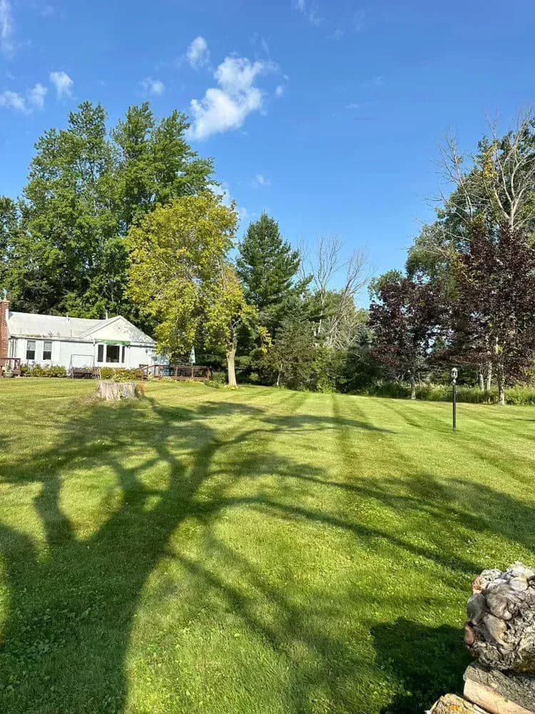 Sunny backyard with lush green lawn, trees, and a cozy house under a clear blue sky.