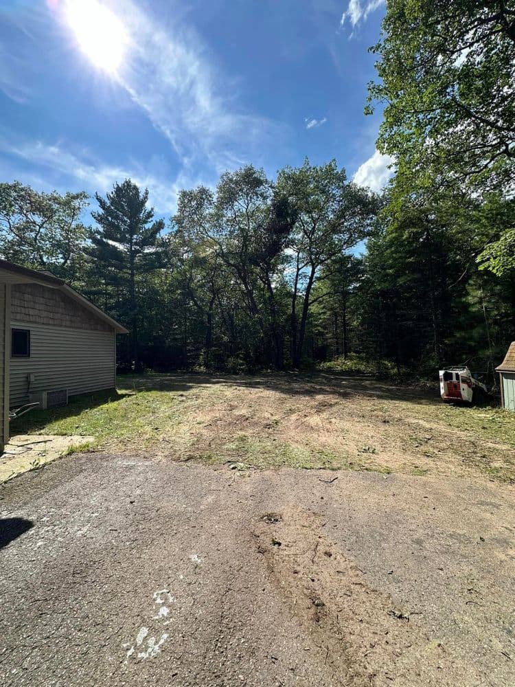 Cleared land with trees and blue sky, adjacent to a house and driveway.