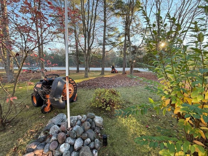 Autumn yard maintenance with leaf blower, colorful foliage, and landscaped stones.