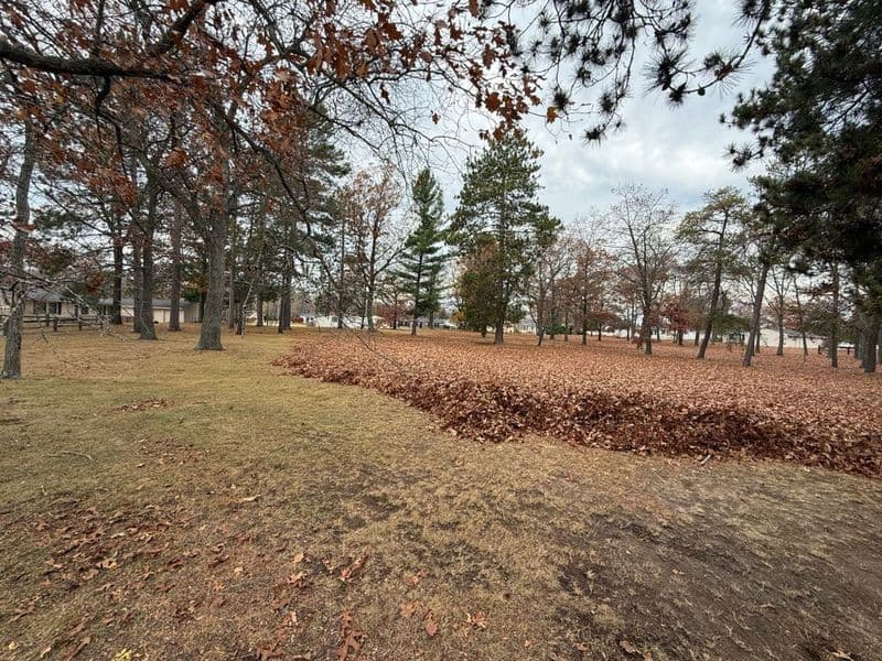 Autumn landscape with a large pile of colorful fallen leaves in a park setting.