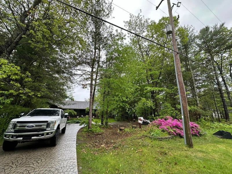 Ford truck parked on a driveway among trees and blooming azaleas in a lush landscape.