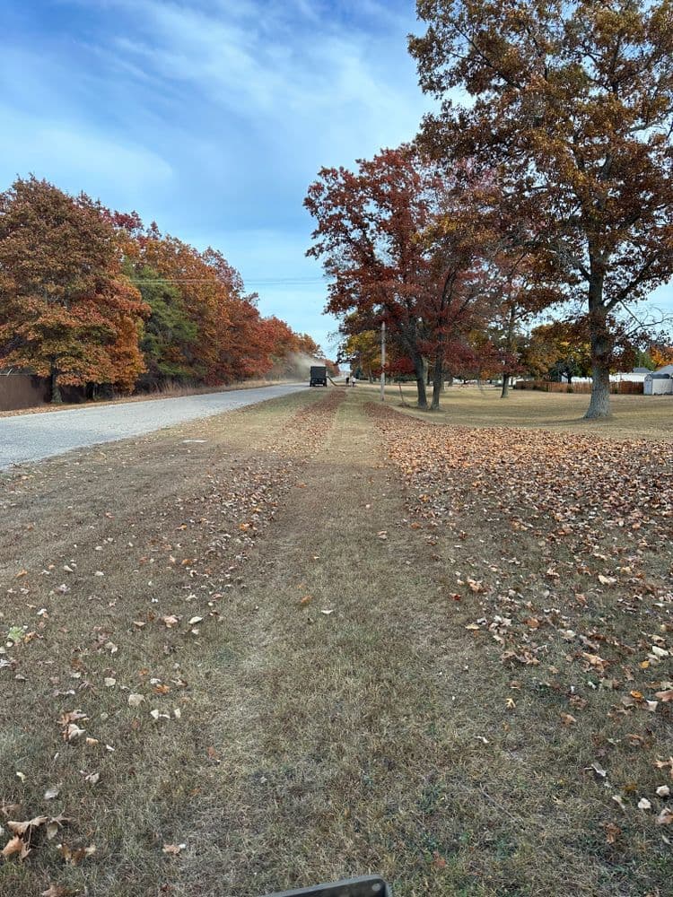 Gravel road lined with autumn trees and fallen leaves, showcasing a rural landscape.