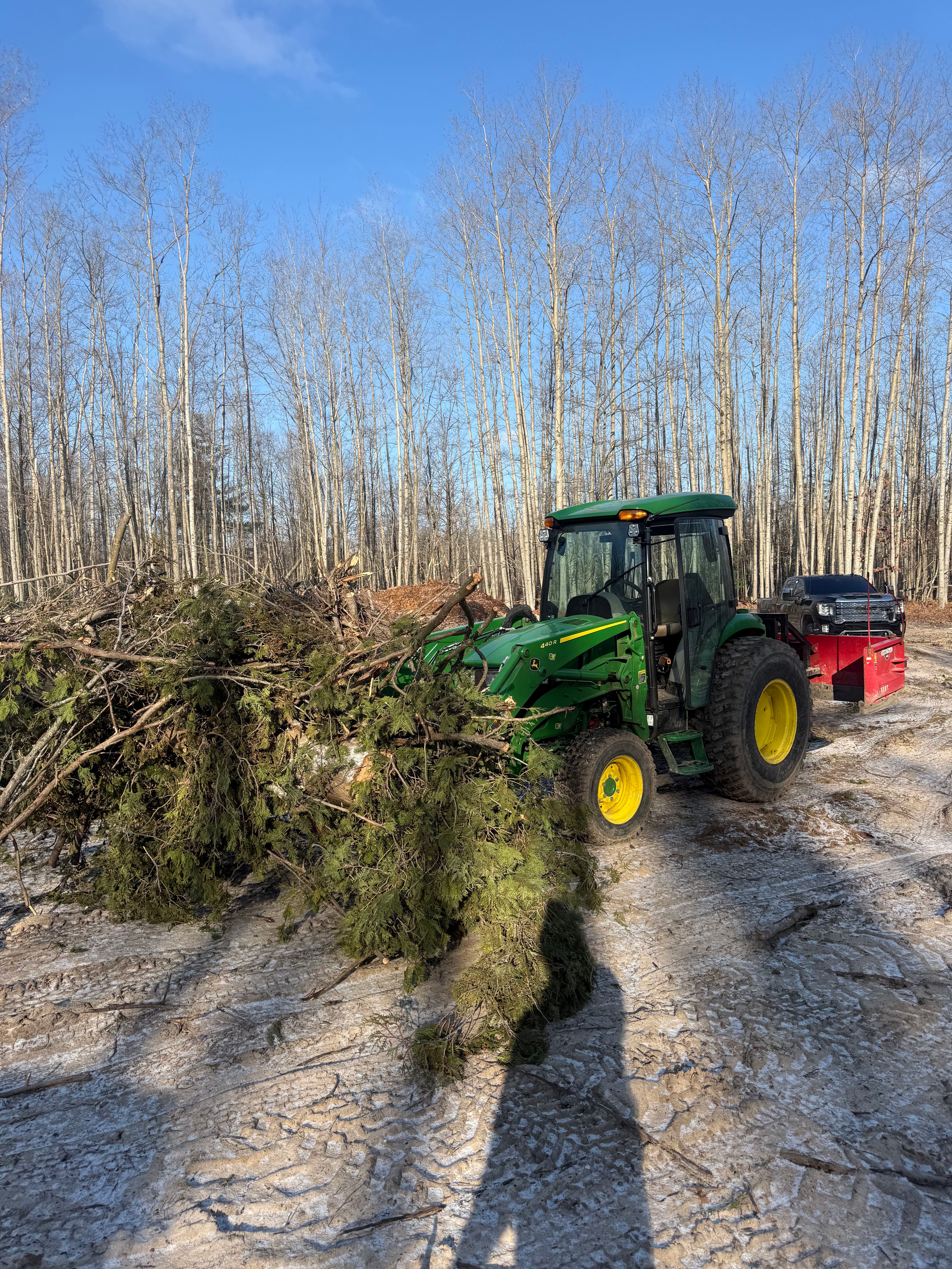 Project Tree Removal and Lot Clearing - No Job Too Big or Too Messy image
