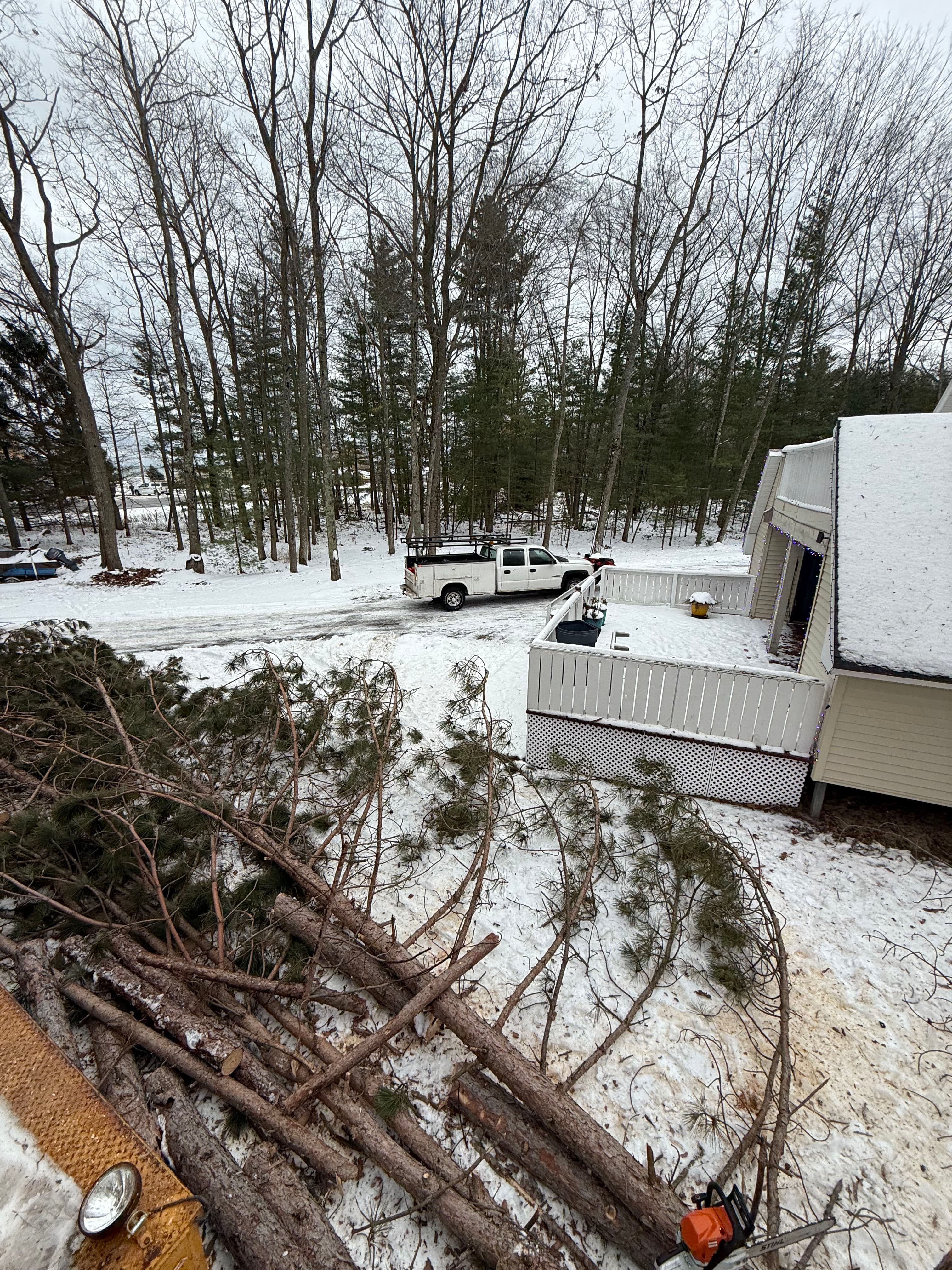 Project Efficient Lot Clearing in Greenbush Township image