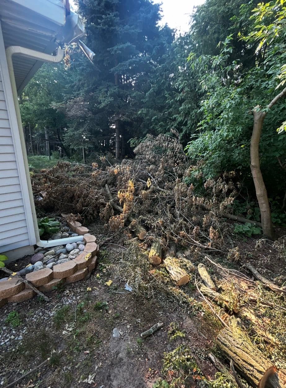 Project Storm Cleanup and Tree Removal Services image