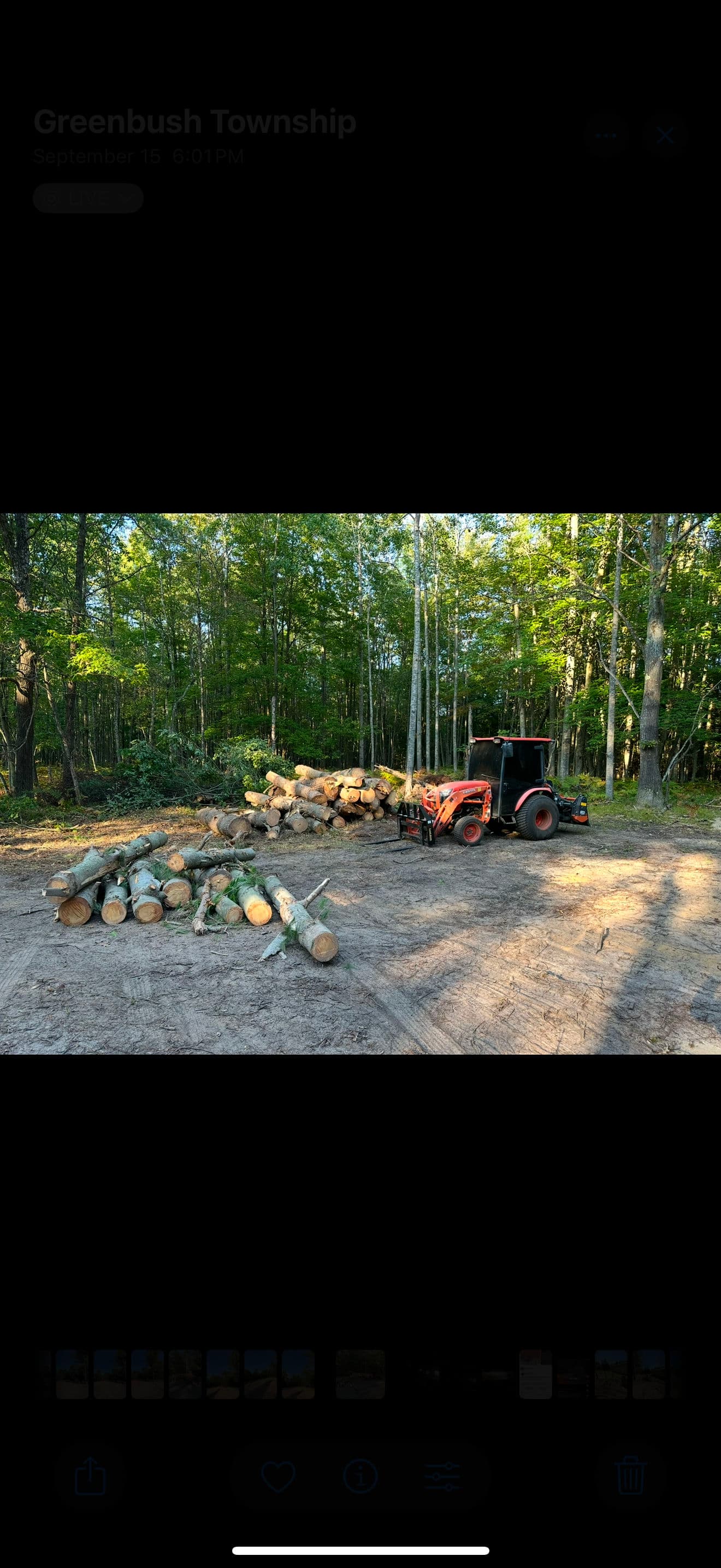 Gallery photos for Efficient Lot Clearing in Greenbush Township: Image #6