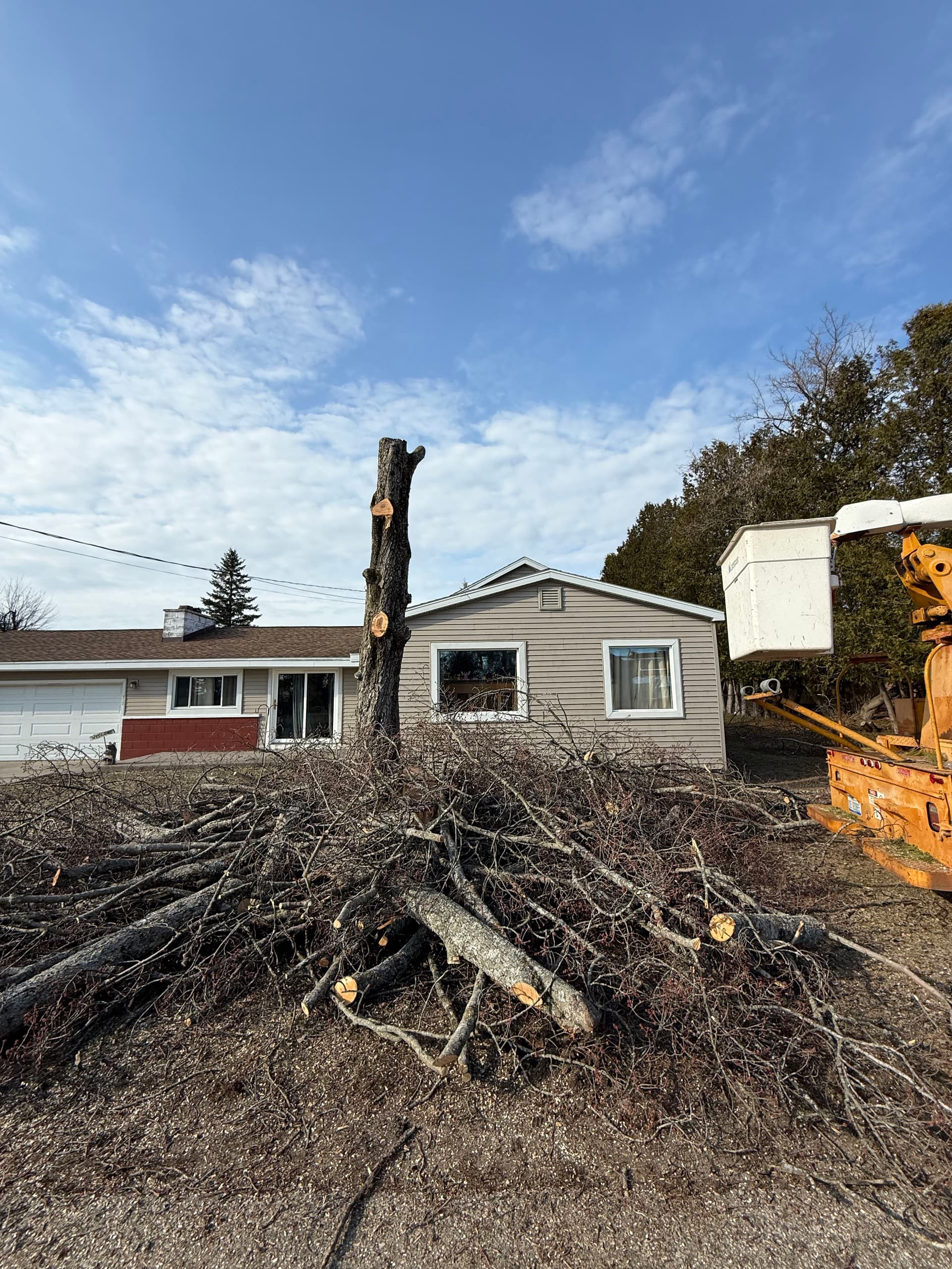 Gallery photos for Tree Removal and Lot Clearing - No Job Too Big or Too Messy: Image #1